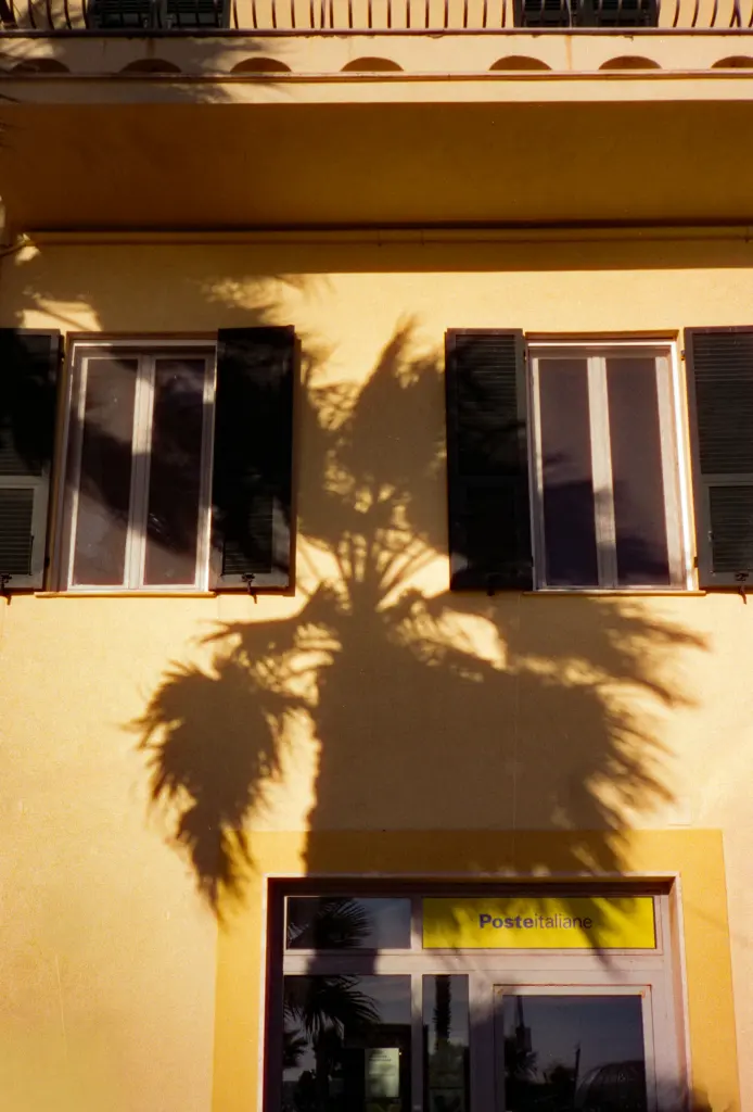 Sombra de una palmera sobre una fachada mediterránea